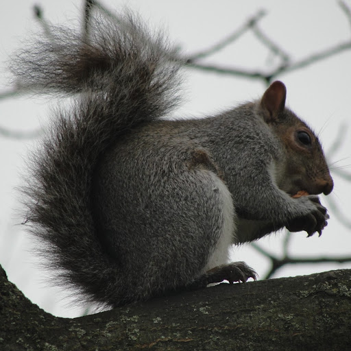 Lillian Graham Photo 5