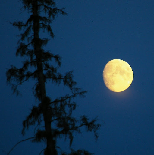 Katherine Mcleod Photo 19