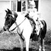 Diane Calvert Photo 26