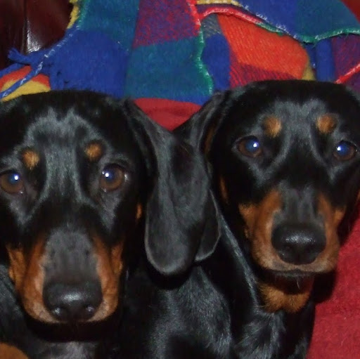 Paul Randolph Photo 30