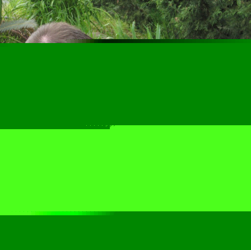 Jamie Gibbs Photo 37