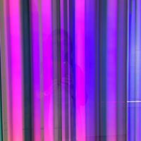 Sally Wilson Photo 27