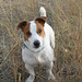 Dale Johnston Photo 41