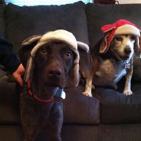 Janet Trout Photo 23