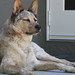 Elroy Cook Photo 3