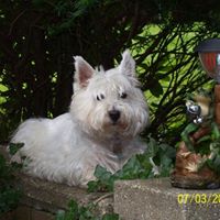 Gary Nutter Photo 22