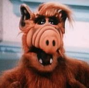 Jeremy Alexander Photo 37