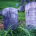 Mary Fredericks Photo 33