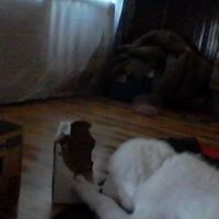 Susan Crandall Photo 21