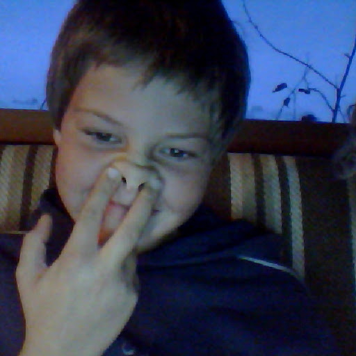 Robin Steiner Photo 28