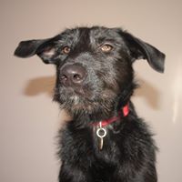 Jonathan Harvey Photo 30