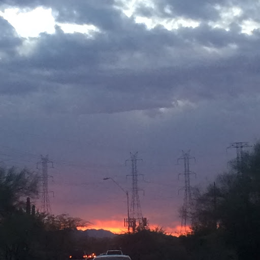 Julia Reiman Photo 3