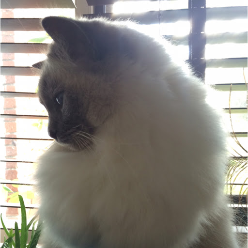 Michelle Fitzgerald Photo 14