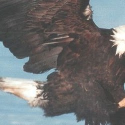 Joey Shepard Photo 7