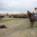 Ray Gunderson Photo 9