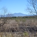 Nancy Kenyon Photo 24