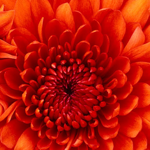 Brandi Young Photo 20