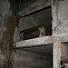 Deanna Lewis Photo 7