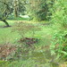April Green Photo 42