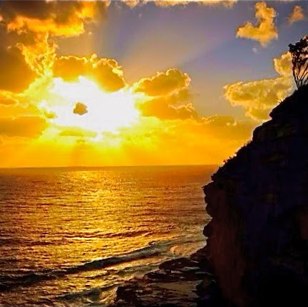 Christine Mclean Photo 35