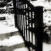 Beverly Snow Photo 13