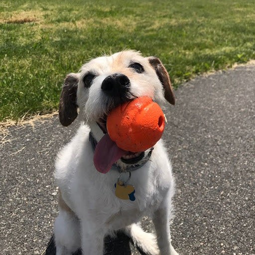 Samantha Arnold Photo 30