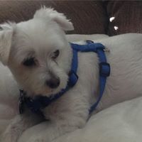 Annette Colon Photo 20