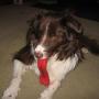 Vickie Thomas Photo 1