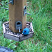 Karen Bunting Photo 27