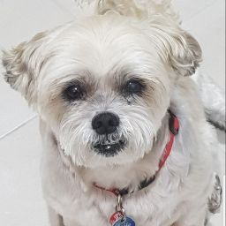 Cynthia Webber Photo 28