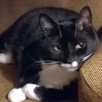 Ginger Miller Photo 20