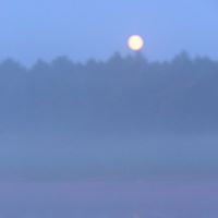 Nancy Stearns Photo 18