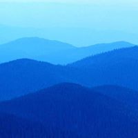 Cindy Salter Photo 26