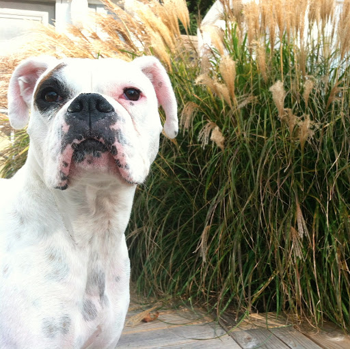 Sheri Simon Photo 12