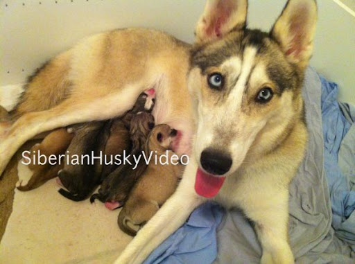 Robert Mcmillian Photo 32