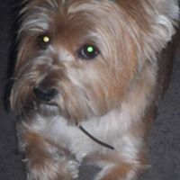 Catherine Hough Photo 19 Catherine Hough Photo 19