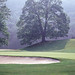 William Snead Photo 38