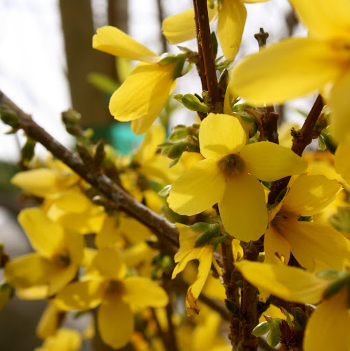 Melissa Shepherd Photo 41