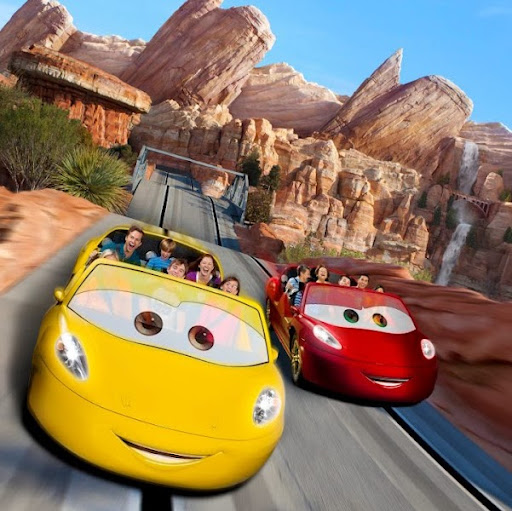 Stephanie Neeley Photo 19