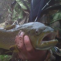 Philip Callaghan Photo 4