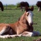 Jennifer Jayne Photo 31