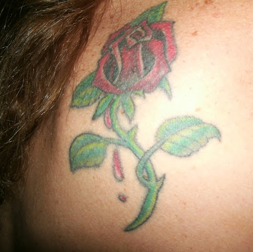 Vicki Hanson Photo 21