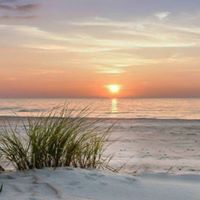 Connie Phillips Photo 19
