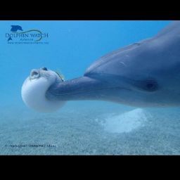 Hsiaoting Chen Photo 1