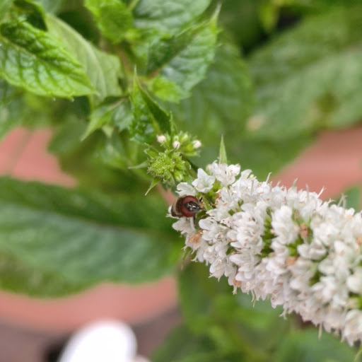 Scott Lucas Photo 15