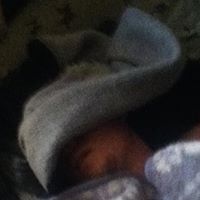 Phillip Zimmerman Photo 26