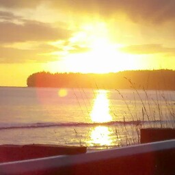 Faye Nicholas Photo 11