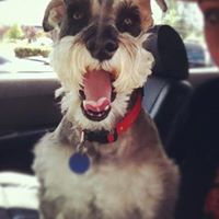 Nancy Moffitt Photo 26