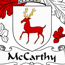 Dee Mccarthy Photo 10