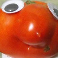 Rebecca Corley Photo 8